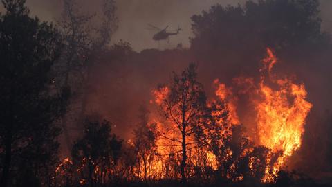 حرائق الغابات في اليونان.. لماذا فتحت باب