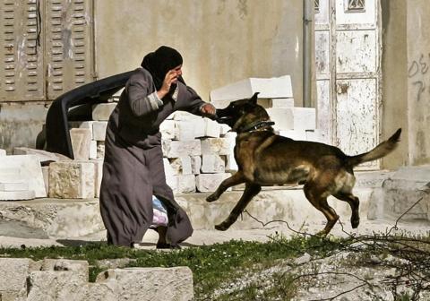 إجبار مجندتان إسرائيليتان 5 سيدات فلسطينيات على التعري بمنزلهن في الخليل أثار غضباً واسعاً