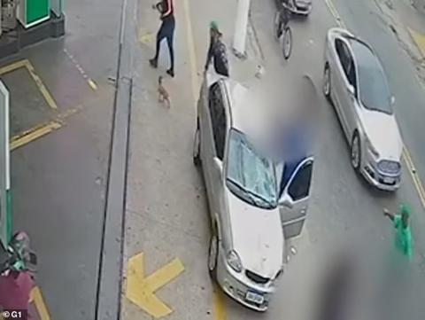 كلب يتجول حول السيارة بعد أن صدمت سيارة أصحابها على الرصيف في البرازيل